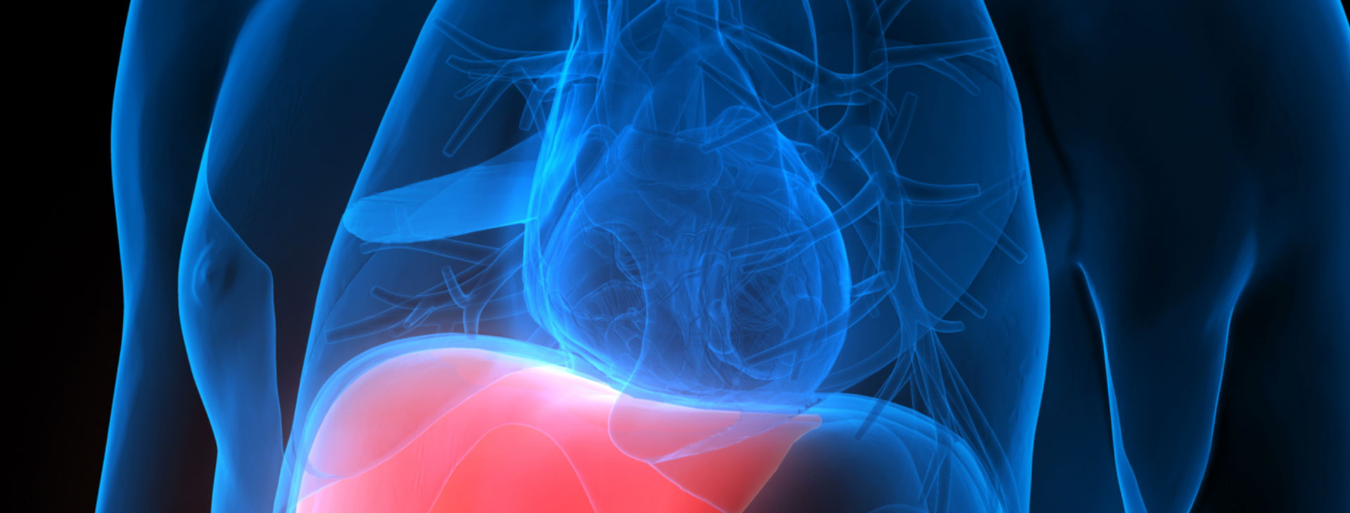 CZECH SOCIETY OF HEPATOLOGY