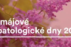 Májové hepatologické dny 2024